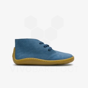 Kids'' Vivobarefoot Gobi Addis Juniors Shoes Indigo | IE431XG