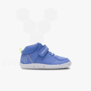 Kids'' Vivobarefoot Primus Ludo Hi Preschool Shoes Blue | IE409TL