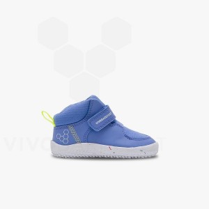 Kids'' Vivobarefoot Primus Ludo Hi Toddlers Shoes Blue | IE407VJ