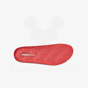 Kids'' Vivobarefoot Thermal Insole Insoles Red | IE439PV