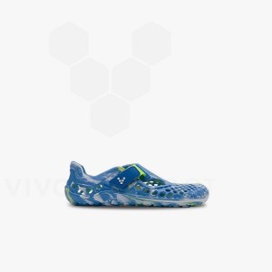 Kids'' Vivobarefoot Ultra Bloom Preschool Shoes Blue Light Turquoise | IE390MM