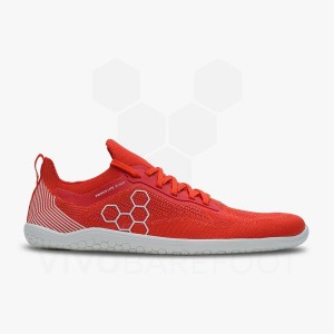 Men's Vivobarefoot Primus Lite Knit Road Running Shoes Red | IE056IR