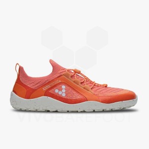 Men's Vivobarefoot Primus Trail Knit FG Training Shoes Red | IE108IR