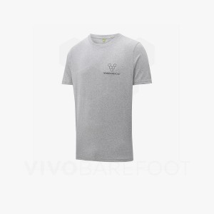 Men's Vivobarefoot Rapanui Naturally Coloured T-shirt T Shirts Grey | IE161HT