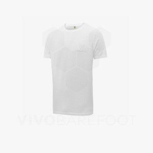 Men's Vivobarefoot Rapanui T Shirts White | IE164EI